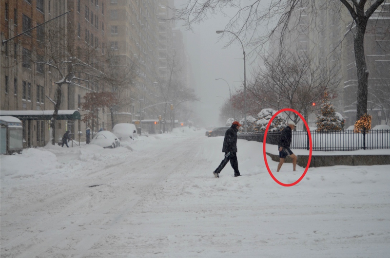 Illustration for article titled On the Ground in New York During a Blizzard